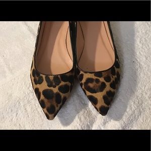 Jcrew womens size 7 leopard flats.